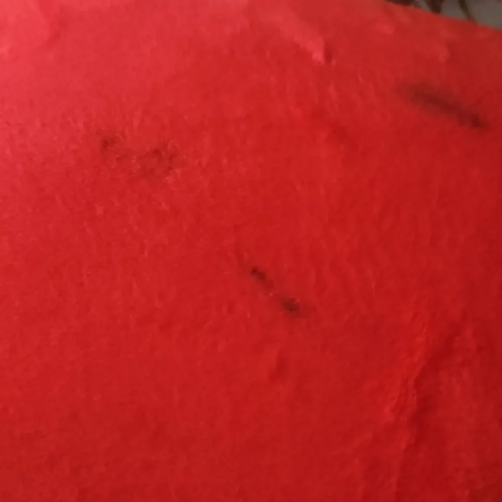 Juicy Couture Red Cosmetic Bag